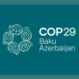 11.COP29联合国气候变化大会, 气候融资前瞻解析