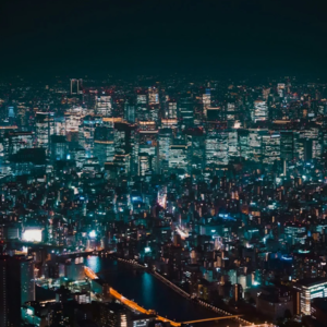 EP206 如何精准预测股票失败风险