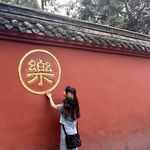 摇摇车夫