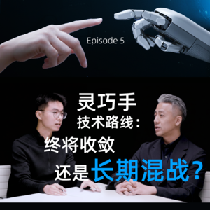 对话灵巧智能CEO周晨EP5：灵巧手技术路线终将收敛，还是长期混战？