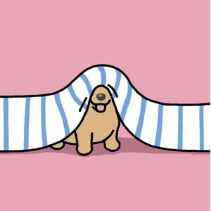 阿保吃饱了
