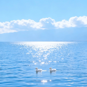 63、守护好自己的能量，少和人纠缠多看大自然