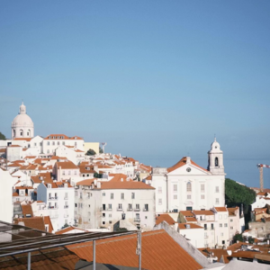 016.请挥舞手帕,要吃惊,要感动,要赞美开车经过的美丽女士