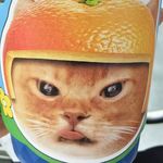 小豆豆是我