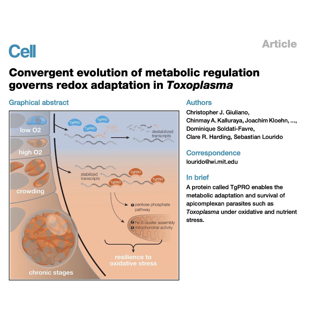 1505-Architect of Apicomplexan Redox&Metabolic Adaptation episode artwork