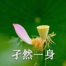 我的猫都不听话