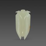 坐井观天的夏虫