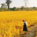 抓起一把虾蛄弹就跑