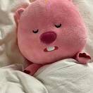 柏昌意期待冬天版