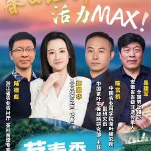 茗春香：春季为何能成为茶叶的“黄金季”？