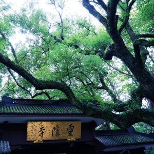 128 杭州园林 灵隐风景区之飞来峰2