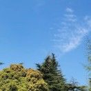 小严_kh2Z
