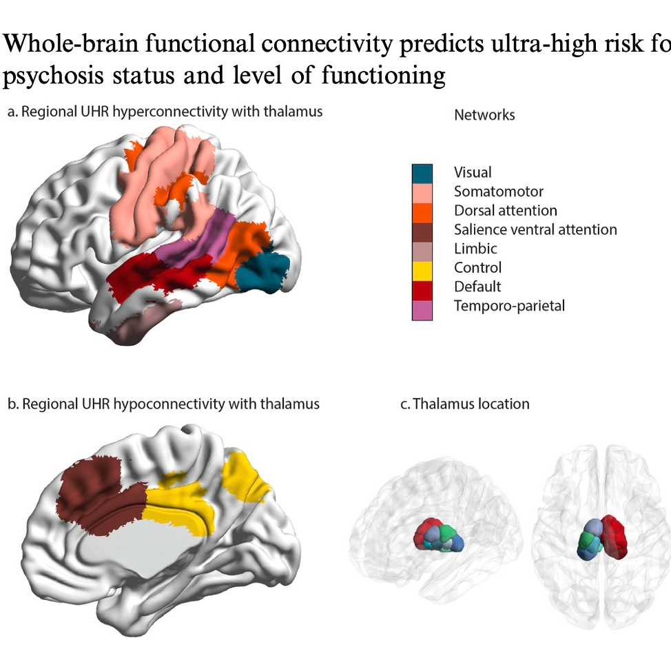 602-Whole-Brain Connectivity Predicts Psychosis Risk episode artwork