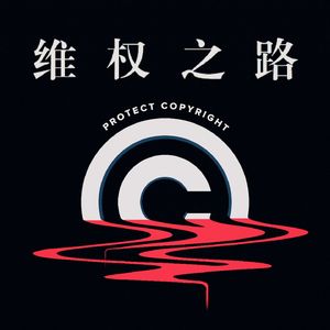 为了谋求利益最大化,那些盗版者都用过什么花招?