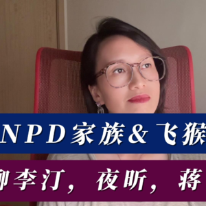 NPD家族&飞猴概念 聊聊李汀，夜昕，蒋雨融
