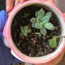 花开的时候_RZAj