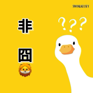Vol.14 人在囧途之非囧｜Safari经验攻略贴&旅行手记