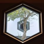 要一直努力生长