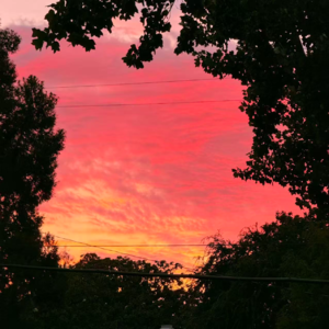 #43 怎么感觉时间过得既快又慢?