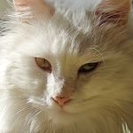 咔哒咔哒咔哒咔哒