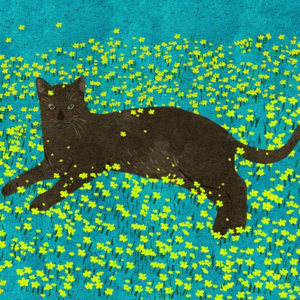 哄睡|10min非睡眠深度休息充能催眠