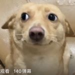 拖拖拉拉机