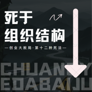 Vol.12【创业大败局第十二种死法】死于组织结构