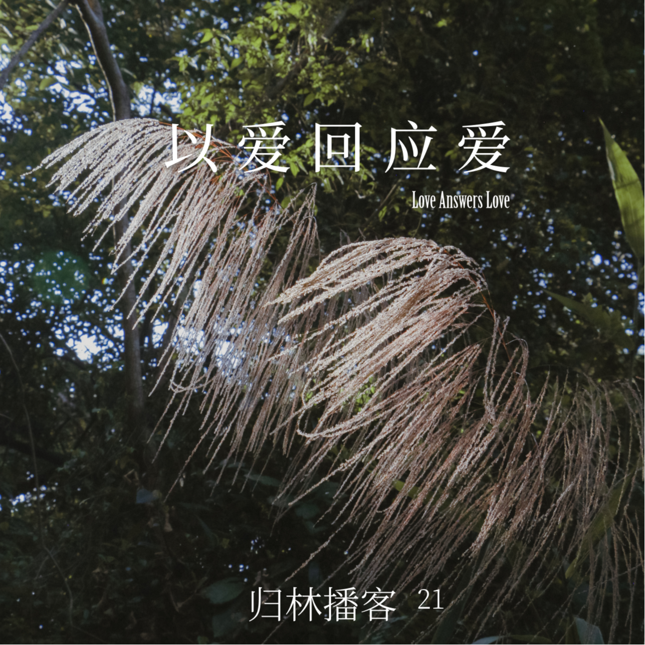 Vol.21｜以爱回应爱，让涟漪在自然万物间晕开 · 《编结茅香》