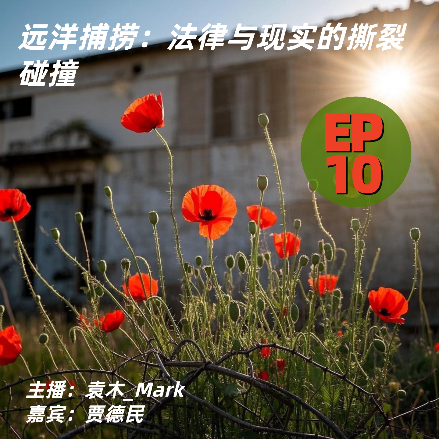 Podcast Cover