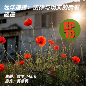 10. 远洋捕捞:法律与现实的撕裂碰撞