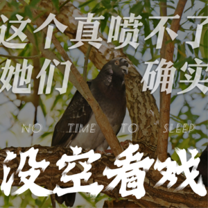 Vol 9.这个真喷不了,她们确实没空看戏