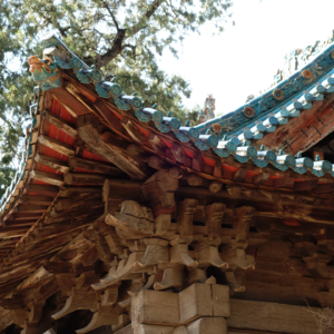 EP01 中国传统建筑执着地使用土木,有何文化上的深层原因?