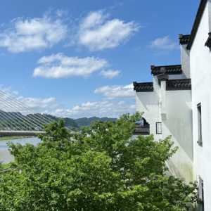 vol.18 疗愈行业真相：没积蓄别碰？旅居3年从业者拆解「鱼龙混杂」的生存法则