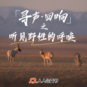 Vol 5. 听见野性的呼唤：从热爱到坚守，见证“用影像保护自然”的力量
