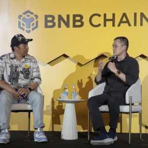 CZ炉边对话：HODL策略遭挑战，市场波动下的生存法则