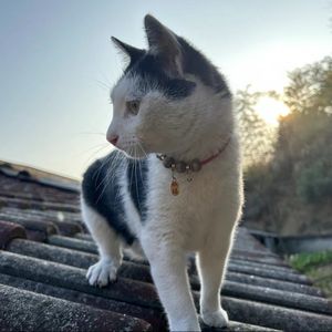 podcaster-avatar