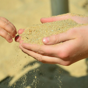 12 - 身心觉察 | 它是盟友，不是工具：用身体理解你自己