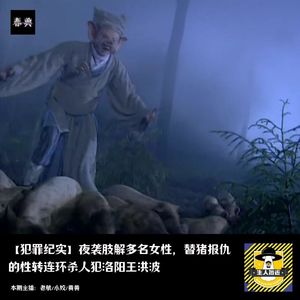 夜袭肢解多名女性，替猪报仇的性转连环杀人犯洛阳王洪波｜犯罪纪实