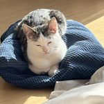 小豆花幸福哦