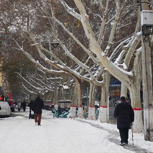 《逍遥》二创系列