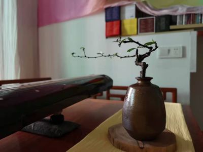 5、沉香的入门篇