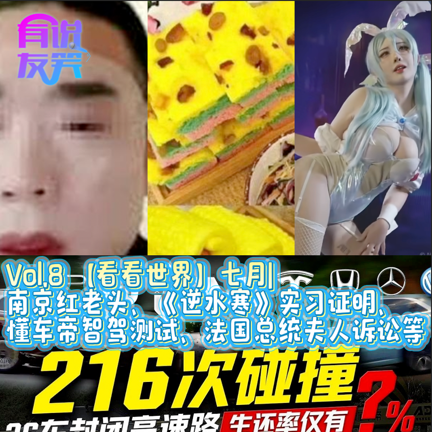 8.七月|南京红老头、《逆水寒》实习证明、懂车帝智驾测试、法国总统夫人诉讼等 episode artwork