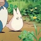 跟夏天签了合同