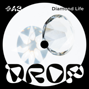#42 Diamond Life