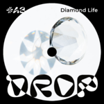 #42 Diamond Life