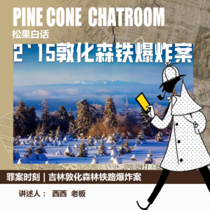 45.罪案时刻|零下30℃的案发现场：2·15敦化森铁爆炸案