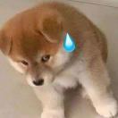 都顶得住