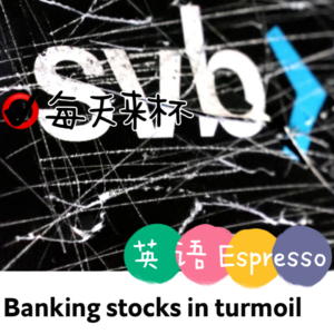 【17】陷入动荡的银行股