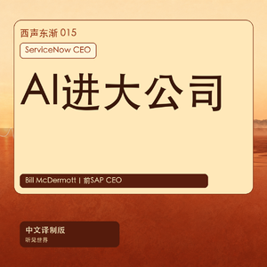 ServiceNow CEO:AI进入大公司后,岗位和流程会怎么变|中文译制版