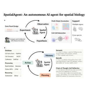 554-SpatialAgent: Autonomous AI Discovery in Spatial Biology